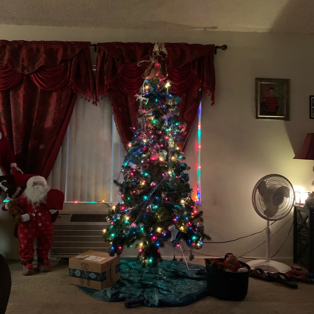 Meet your Posher, Diana